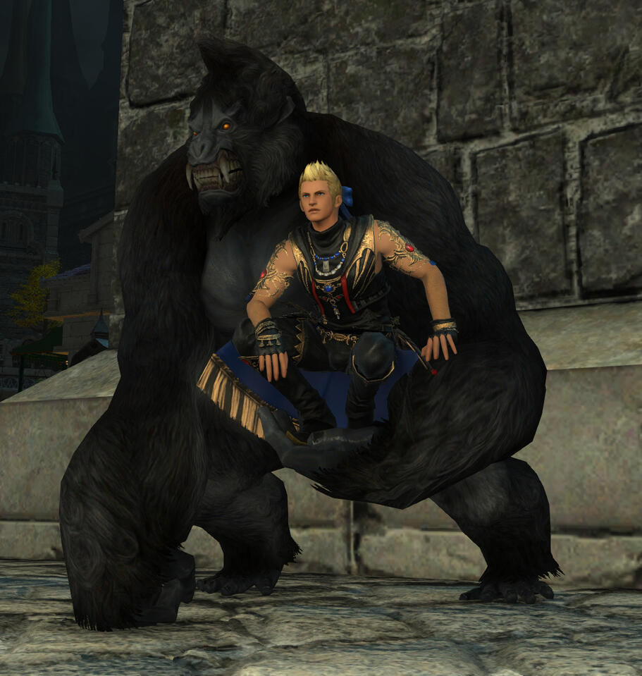 Just Monkeying Around